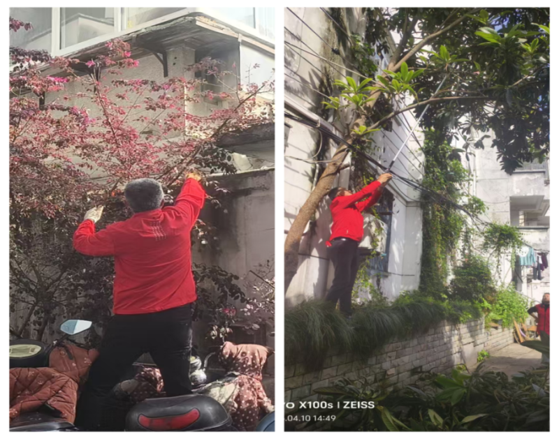 市林科所开展为民办实事志愿服务活动