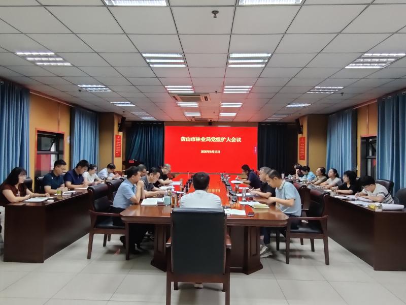 市林业局召开党组扩大会议