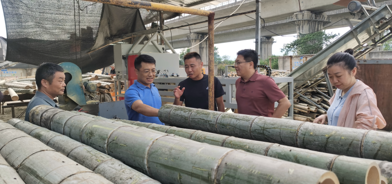 市林业局赴歙县调研竹产业发展