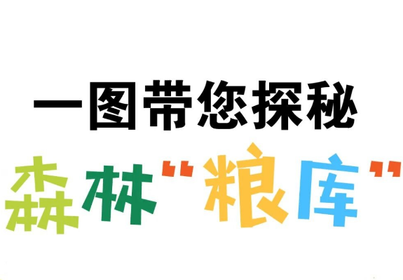 一图探秘“森林粮库”