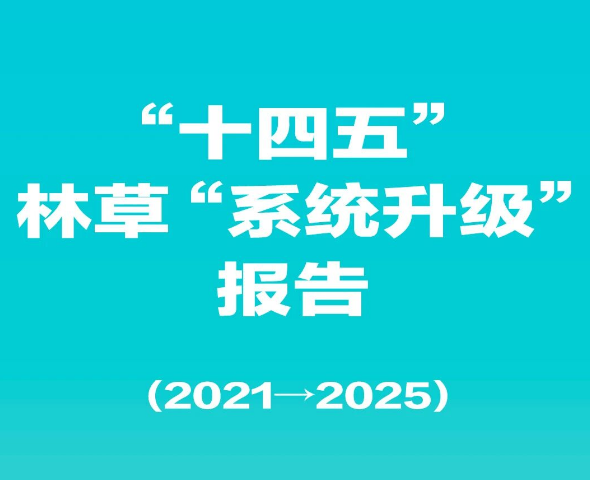 “十四五” 林草 “系统升级” 已完毕，请查看报告