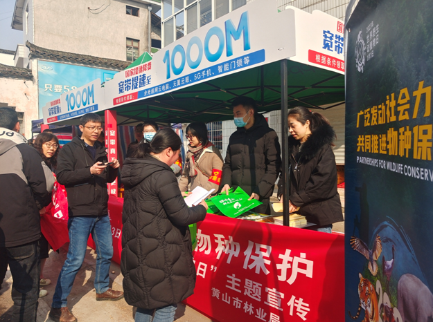 市林业局开展“世界野生动植物日”主题宣传活动
